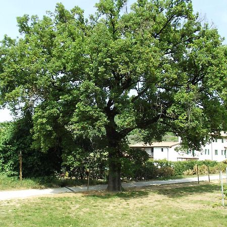 Agriturismo Ca' Castellani Bardolino Exteriér fotografie
