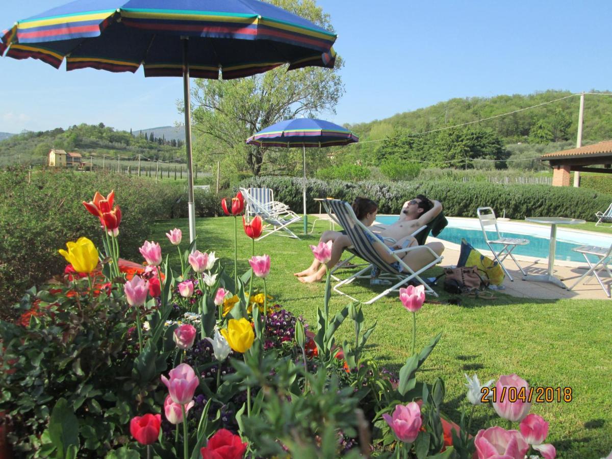 Agriturismo Ca' Castellani Bardolino Exteriér fotografie